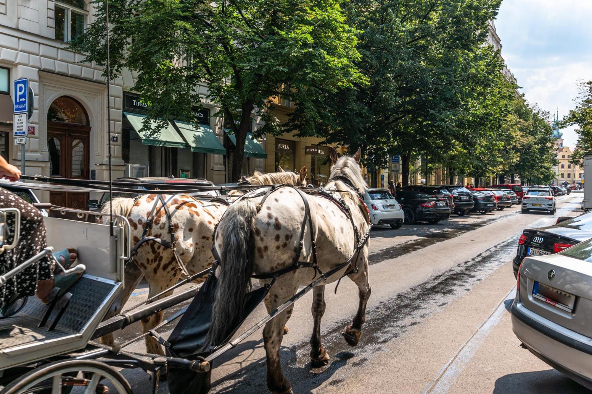 Wishlist Prague Residences - Old Town Bilkova المظهر الخارجي الصورة